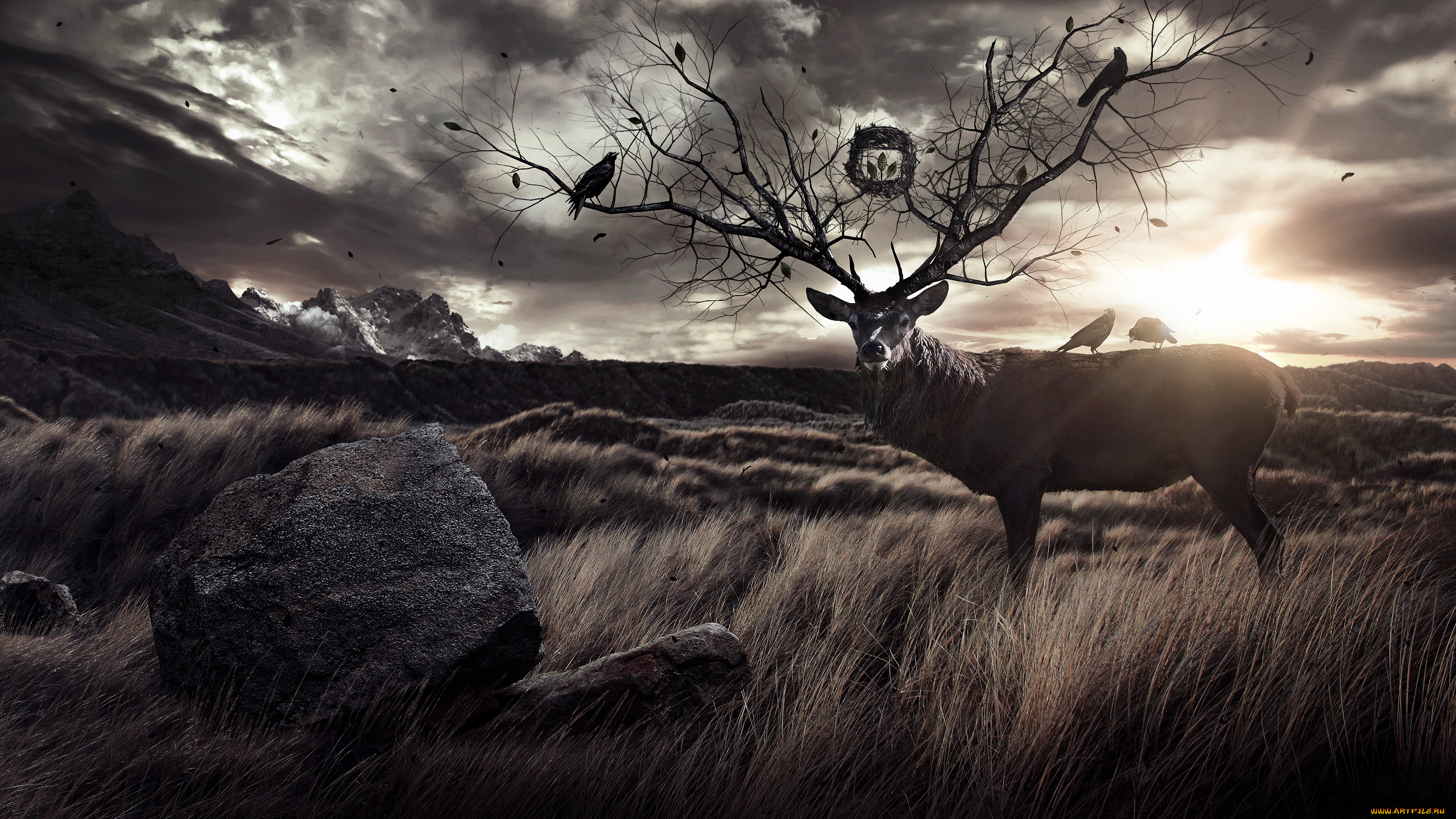 3, , animals, , , , , 